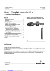 Emerson D102803X0DE Betriebsanleitung