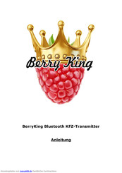 Berry King Bluetooth KFZ-Transmitter Anleitung
