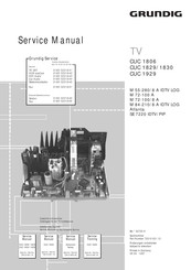 Grundig M 84-210/8 IDTV LOG Servicehandbuch