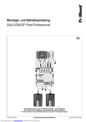 Prominent DULCODOS Betriebsanleitung