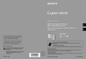 Sony Cyber-SHOT DSC-W100 Bedienungsanleitung