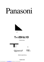 Panasonic TX-29AL1D Bedienungsanleitung
