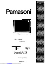 Panasonic TX-29AS1C/B Bedienungsanleitung