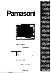Panasonic TX-29AS1D Bedienungsanleitung