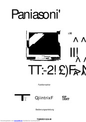 Panasonic TX-29PN1D Bedienungsanleitung