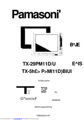 Panasonic TX-29PM11DBU Bedienungsanleitung