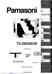 Panasonic TX-29E40D/M Bedienungsanleitung