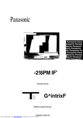 Panasonic TX-28PN1F Bedienungsanleitung