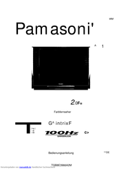 Panasonic TX-29PX20F Bedienungsanleitung