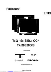 Panasonic TX-29E50D/B Bedienungsanleitung