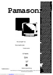 Panasonic TX-21AP1C/B Bedienungsanleitung