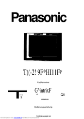 Panasonic TX29PM11F Bedienungsanleitung
