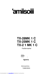 Panasonic TX-25MK1C Bedienungsanleitung