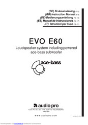 Audio Pro EVO E60 Bedienungsanleitung