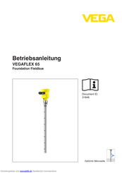 VEGA VEGAFLEX 65 Betriebsanleitung