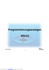 Clack WS1CI Programmierungsanzeigen