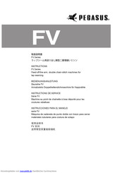Pegasus FV Serie Bedienungsanleitung