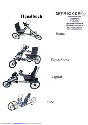Stricker Puma Motor Handbuch
