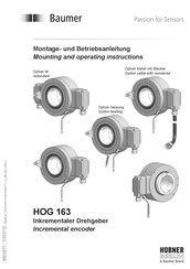 Baumer HOG 163 Montage- Und Betriebsanleitung