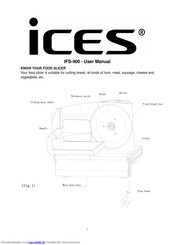 iCES IFS-400 Benutzerhandbuch